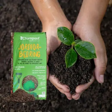 Møglækker jordforbedring fra Champost